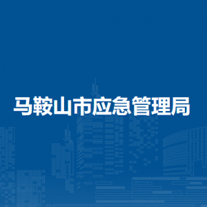 馬鞍山市應(yīng)急管理局減災(zāi)救災(zāi)科