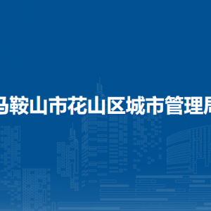 馬鞍山市花山區(qū)城市管理局數字城管辦公室