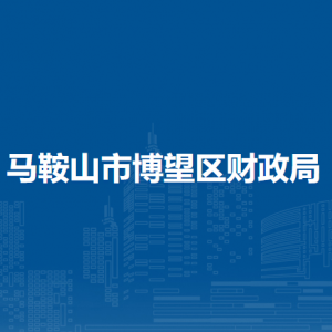 馬鞍山市博望區(qū)財政局債務(wù)辦公室