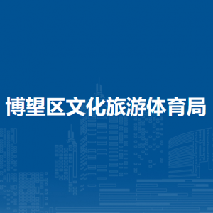 馬鞍山市博望區(qū)文化館