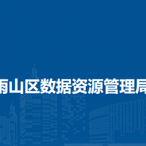 馬鞍山市雨山區(qū)數據資源管理局大數據中心