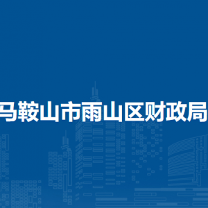 馬鞍山市雨山區(qū)非稅收入管理局