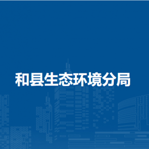 和縣環(huán)境監(jiān)測站