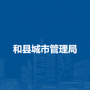 和縣城市管理局綜合督查室（數(shù)字城管指揮調(diào)度室）