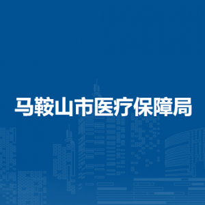 馬鞍山市醫(yī)療保障局規(guī)劃財(cái)務(wù)與基金監(jiān)管科