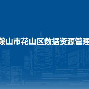 馬鞍山市花山區(qū)數(shù)據(jù)資源管理局辦公室