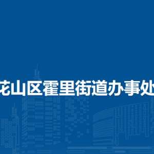馬鞍山市花山區(qū)霍里街道霍里街道城管中隊(duì)