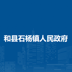 和縣石楊鎮(zhèn)司法所