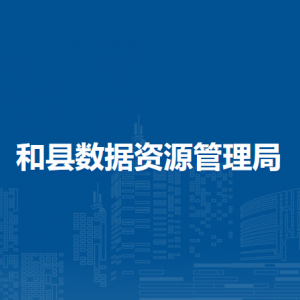 和縣數(shù)據(jù)資源管理局政務(wù)服務(wù)股