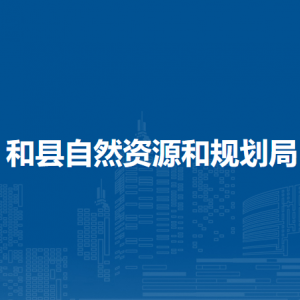 和縣自然資源和規(guī)劃局自然資源開發(fā)利用股