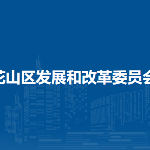 馬鞍山市花山區(qū)發(fā)展和改革委員會產(chǎn)業(yè)辦公室