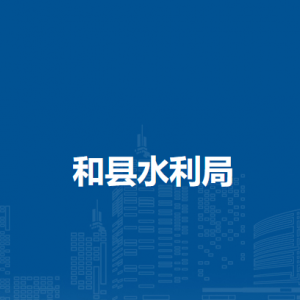 和縣水利局財(cái)力審計(jì)股