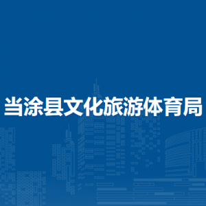 當(dāng)涂縣文化旅游體育局辦公室