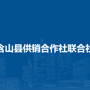 含山縣融媒體中心