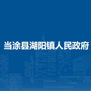 當(dāng)涂縣湖陽(yáng)鎮(zhèn)財(cái)政所社保所