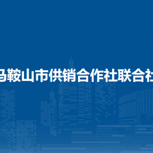 馬鞍山市供銷合作社審計(jì)科