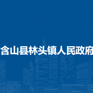 含山縣林頭鎮(zhèn)衛(wèi)健辦