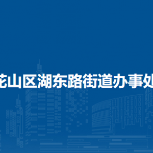 馬鞍山市花山區(qū)湖東路街道黨政綜合辦公室