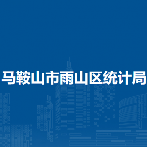 馬鞍山市雨山區(qū)統(tǒng)計(jì)局普查中心