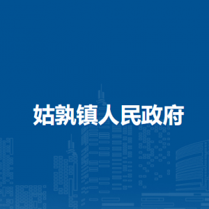 姑孰鎮(zhèn)綜合行政執(zhí)法大隊(duì)