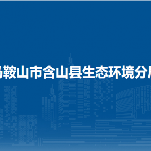 馬鞍山市含山縣生態(tài)環(huán)境保護(hù)綜合行政執(zhí)法大隊(duì)