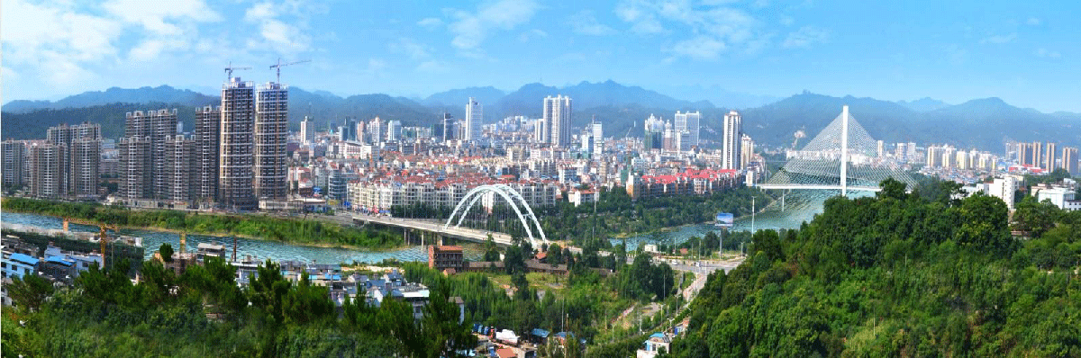 百色市政務服務網(wǎng)上辦事大廳