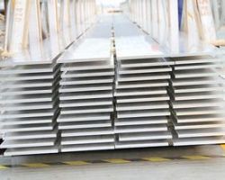 鋁排材項(xiàng)目可行性研究報(bào)告(甲級資質(zhì))