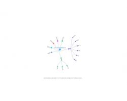 一笑科技發(fā)展默認(rèn)相冊