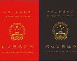 國家心理咨詢師