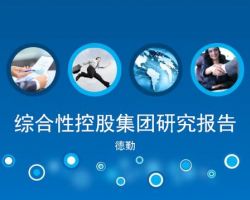 豆雁項(xiàng)目可行性研究報(bào)告(范文下載)