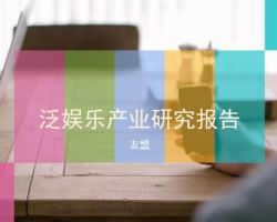 2017年中國(guó)泛娛樂(lè)產(chǎn)業(yè)研究報(bào)告（友盟）