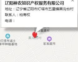 遼寧春風(fēng)會計服務(wù)中心