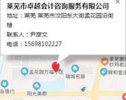 萊蕪市卓越會計咨詢服務有限公司