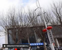 沈陽經(jīng)濟(jì)技術(shù)開發(fā)區(qū)政務(wù)服