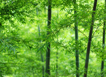 威遠縣鄉(xiāng)村振興局