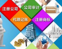 遂寧金賬本會計服務(wù)有限公司