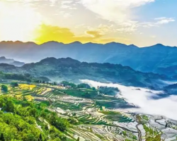 酉陽(yáng)土家族苗族自治縣人力資源和社會(huì)保障局