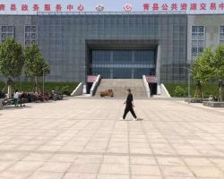 青縣政務服務中心