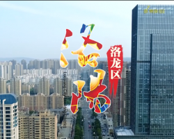 洛陽市洛龍區(qū)退役軍人事務(wù)局