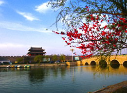 商丘市睢陽(yáng)區(qū)人力資源和社會(huì)保障局