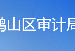 鶴壁市鶴山區(qū)審計(jì)局