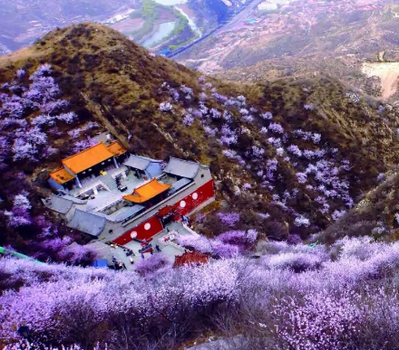 張家口市下花園區(qū)交通運輸局