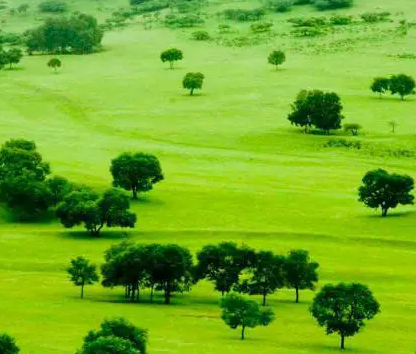 豐寧滿(mǎn)族自治縣自然資源和規(guī)劃局