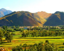 圍場(chǎng)滿族蒙古族自治縣新地鄉(xiāng)人民政府