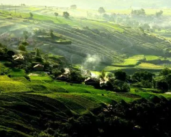 尚義縣商務(wù)和工業(yè)信息化局