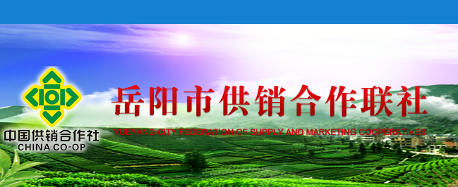 岳陽(yáng)市供銷合作聯(lián)社