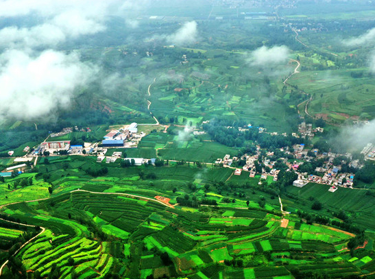 汝陽(yáng)縣農(nóng)業(yè)農(nóng)村局