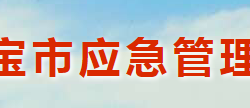 靈寶市應急管理局