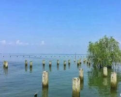 益陽市大通湖區(qū)應急管理局