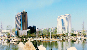 盧氏縣統(tǒng)計(jì)局